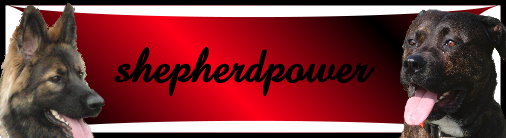 bannershepi
