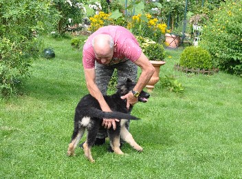 baskia 01.08.2011- 22