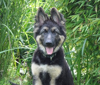 baskia 01.08.2011 - 39
