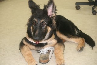 baskia 23.09.2011