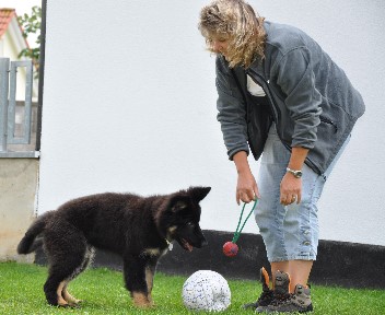 besuch brix-balu 04.08.2011 - 39