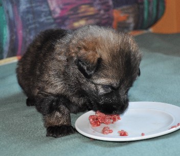 bonita 08.05.2011 - 24