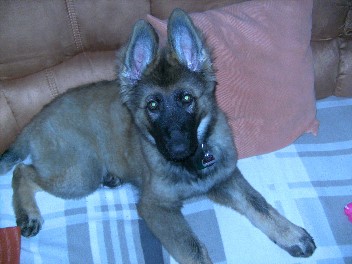 bonita 29.07.2011
