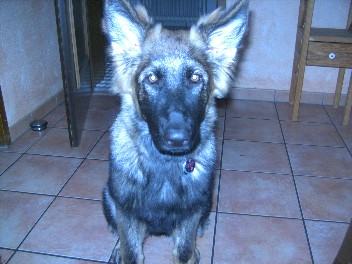 bonita 9.2011