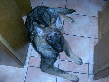 bonita sept.2011