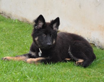 brix-balu 04.08.2011 - 47