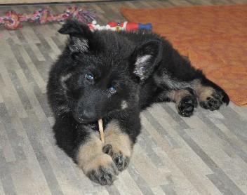 brix-balu 19.06.2011- 17