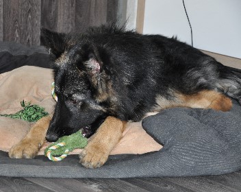 champ 12.04.2012 - 23
