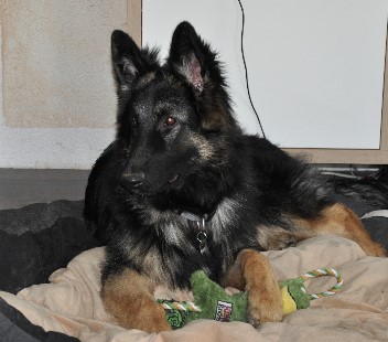 champ 12.04.2012 - 31