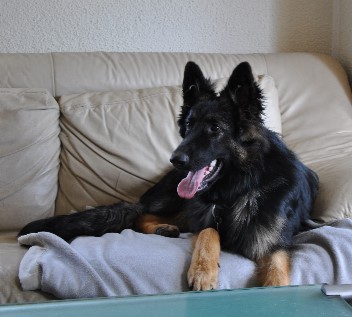 champ 12.04.2012 - 6