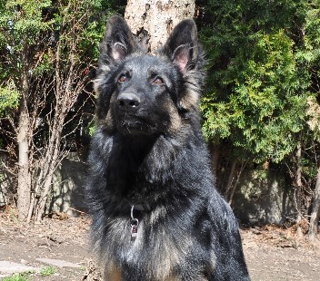 champ 12.04.2012++ - 50