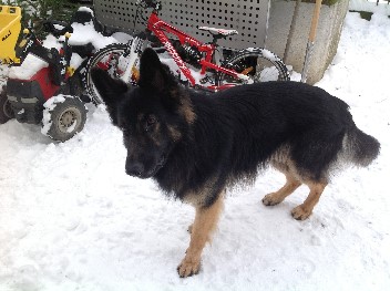 champ 4 januar 2013
