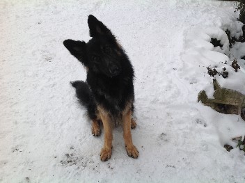 champ 7 januar 2013