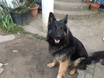 champ september 2013 1