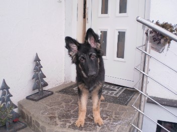 champ winter 2012 0071