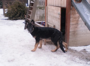 champ winter 2012 0091