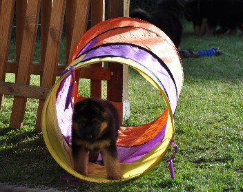 chayna 29.10.2011 - 143