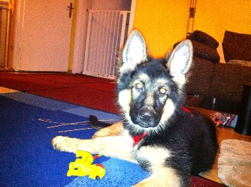 crash 20.01.2012