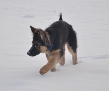 crash 29.01.2012 - 41