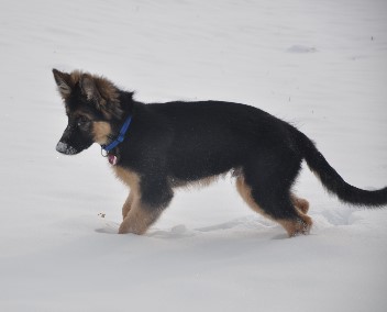 crash 29.01.2012 - 42