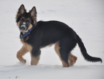 crash 29.01.2012 - 44