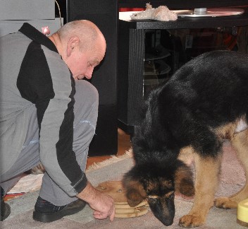crash 29.01.2012 - 53