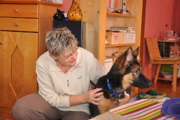 crash 29.01.2012 - 54