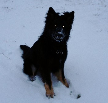 diego 2 januar 2013