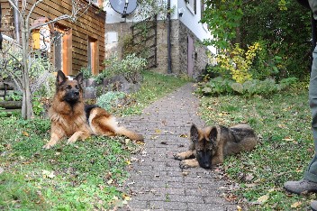 django, kaja 18.10.2012- 33