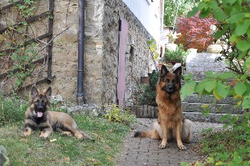 django, kaja 18.10.2012 - 25