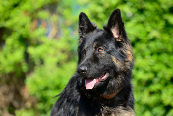 earl tristan 1 juni 2014