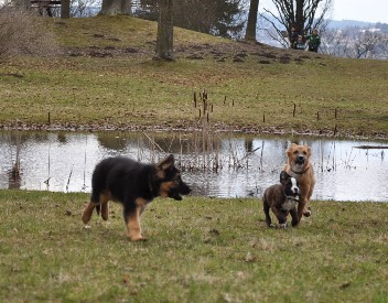 ernst ignaz 13.04.2013 - 25