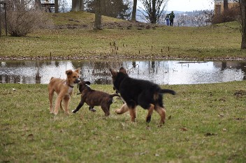 ernst ignaz 13.04.2013 - 33