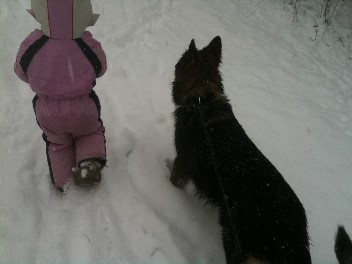 erster Schnee 018bajana 21.01.2012