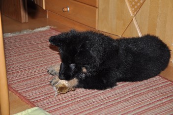 frodo 24.11.2013 - 10