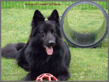 george02