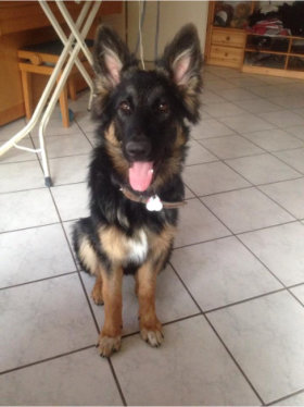 hannah nala april 2015.jpg 102