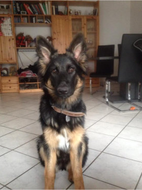 hannah nala april 2015.jpg 2