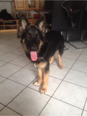 hannah nala april 201502