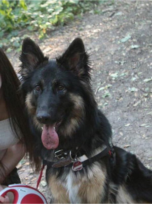 hannah nala juli 2015
