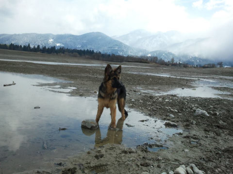 hanni milla april 201502