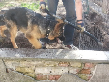 hasko april 2015