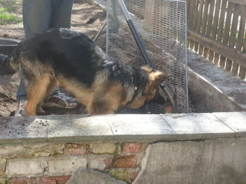 hasko april 2015.jpg 1