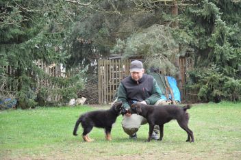 hundeschule 27.03.2014 - 40