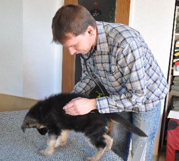 impfen 15.11.2011 - 41