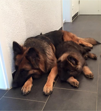 issy 09.07.2015++