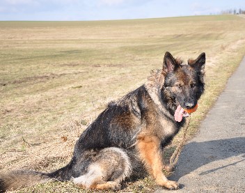 jazzy 08.02.2011- 1402