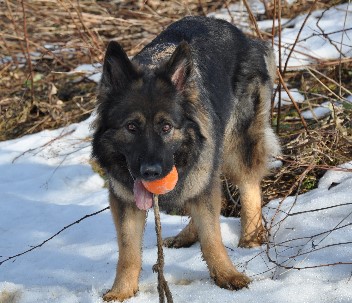 jazzy 08.02.2011- 2602