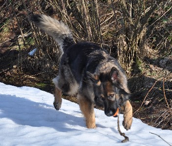 jazzy 08.02.2011- 3002