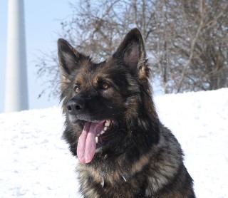 jazzy 16.02.2012 - 11802
